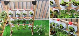 Don’t Toss Your Old Phenyl Bottles! 3 Creative Ways to Turn Trash into Stunning Balcony Decor