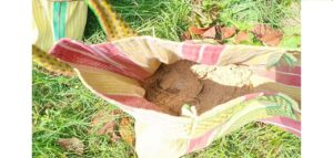 Murshidabad Stunned: Bags Full of Live Bombs Recovered in Rejinagar Ahead of Assembly Polls!