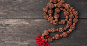 Tears of Lord Shiva to Change Your Fate! 5-Mukhi Rudraksha to Bring Magic for These 2 Zodiacs