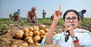 Potatoes At ₹12/kg in Market, But Farmers Earn Only ₹1! Who Is pocketing the Missing ₹11?