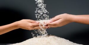 The ‘Rice Capital’ of India: Do You Know Which City Holds This Title? Click to Find Out!