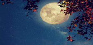 The First Full Moon of 2026: Chaitra Purnima and Hanuman Jayanti Confluence—How to Seek Blessings?