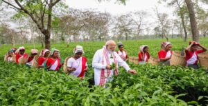 PM Modi in Dibrugarh Tea Gardens! Prime Minister Plucks Leaves, Wins Hearts in Assam