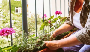 Travel Worry-Free This Summer! 5 Genius Hacks to Keep Your Plants Alive While You’re Away