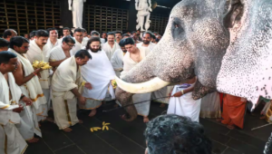 Royal Celebration at Hathi Gaon; 100+ Elephants Join the Festivities for Anant Ambani’s Special Day