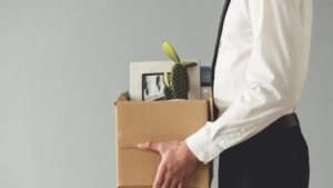 TCS Workforce Hits New Low: 23,000 Jobs Gone in 12 Months—What’s Next for IT Professionals?