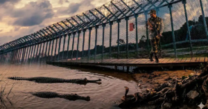 Snakes and Crocodiles to Guard Borders? BSF Explores Radical Strategy to Stop Infiltration